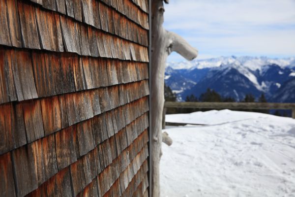 Cedar Siding Repair in Frisco