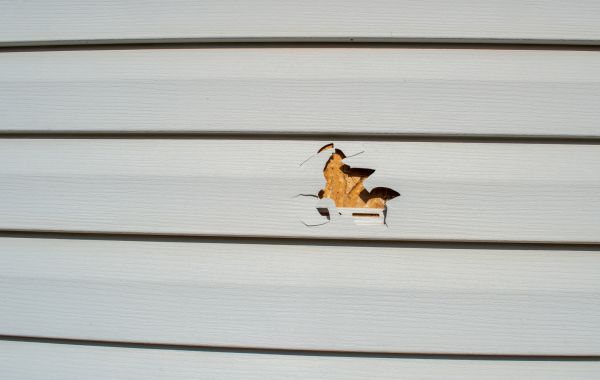 Siding Hole Patching in Frisco
